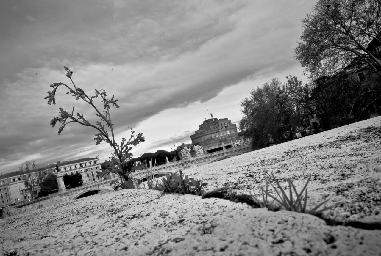 Appartamento Zona Vaticano 2 Rome Exterior photo